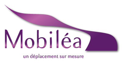 Mobilea un déplacement sur mesure